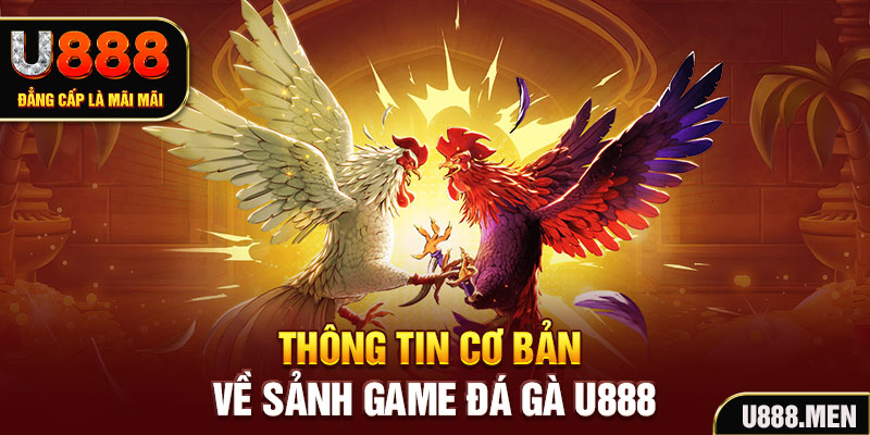 Thông tin cơ bản về sảnh game đá gà U888