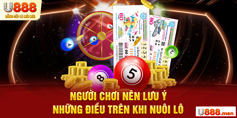 Nuôi Lô Khung 7 Ngày Là Gì? Kinh Nghiệm Nuôi Lô Đẳng Cấp Người chơi nên lưu ý những điều trên khi nuôi lô