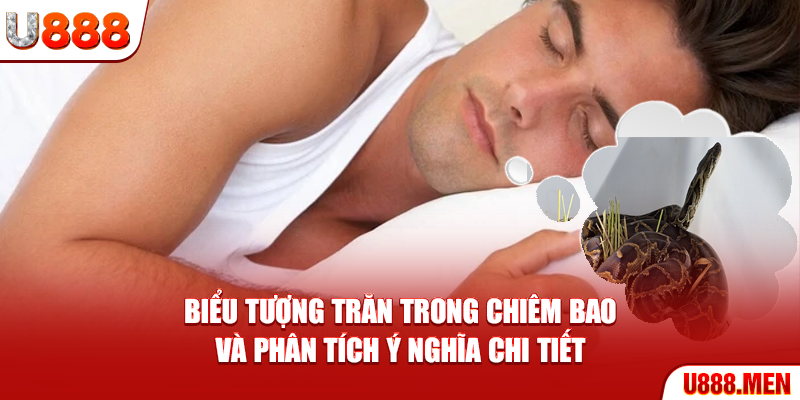 Mơ Thấy Trăn – Giải Mã Ý Nghĩa Và Dấu Hiệu Quan Trọng Biểu tượng trăn trong chiêm bao và phân tích ý nghĩa chi tiết