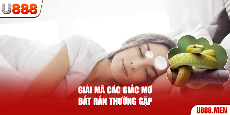 Mơ Bắt Rắn – Ý Nghĩa Giấc Mơ Và Điềm Báo Quan Trọng Giải mã các giấc mơ bắt rắn thường gặp
